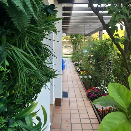 ゲストハウス Airinos Do Mar アレアス